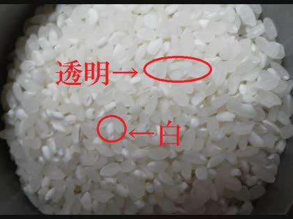 パンのカビを食べてしまったけど大丈夫 ...