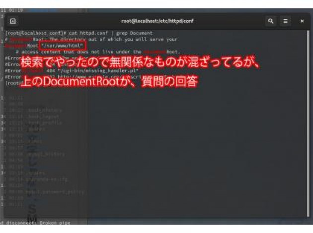 Documentroot DOCUMENT ROOTについて。 -いつも大変お世話になっております。- | OKWAVE